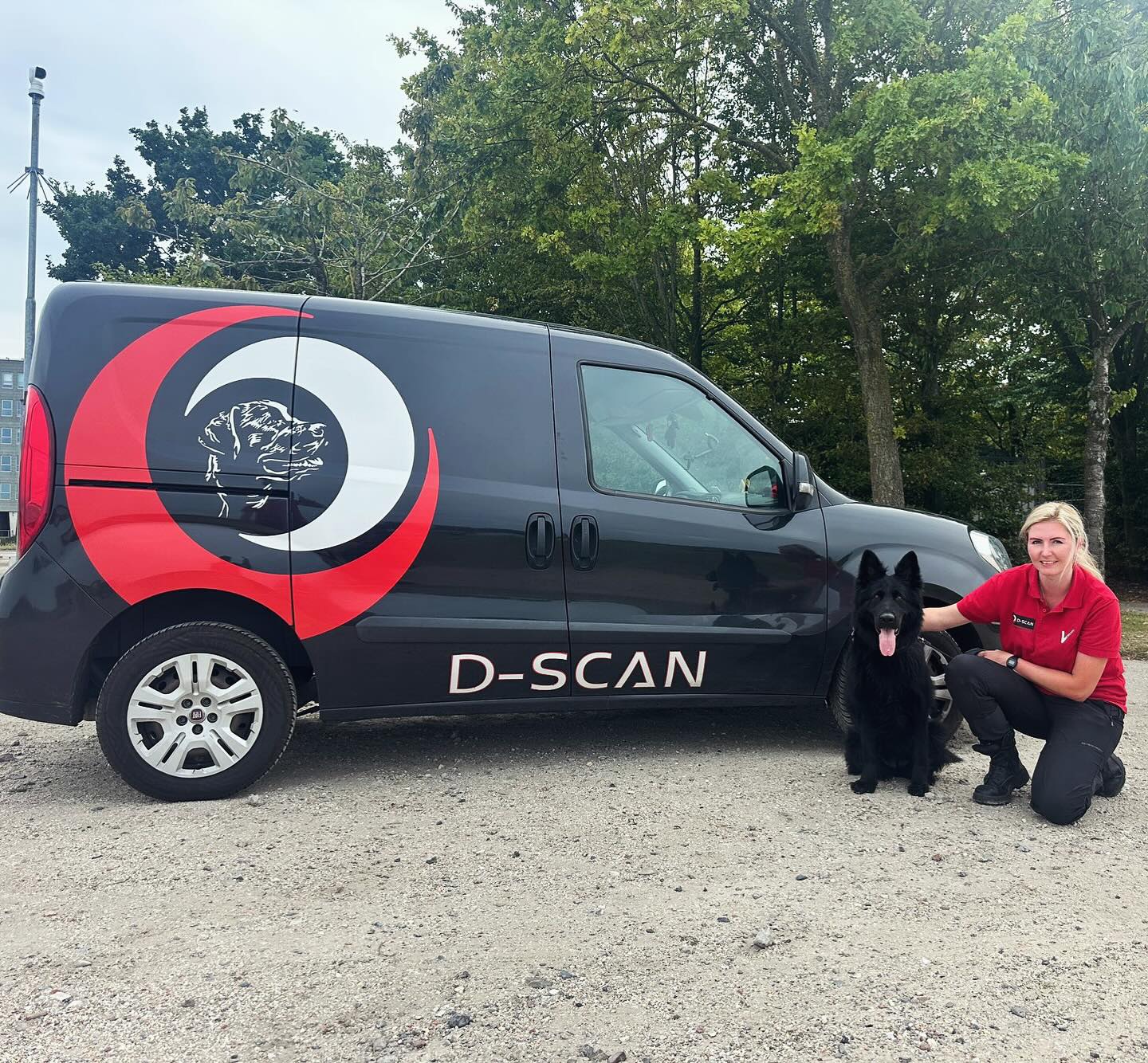 539112233_17948130363034661_484606265091325813_n